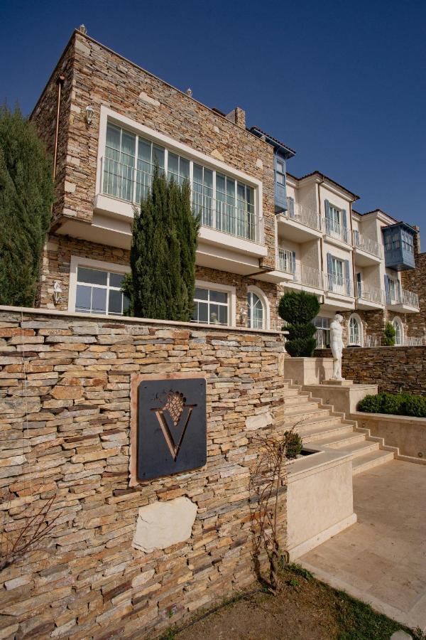 Vinifera Ephesus Hotel 塞尔丘克 外观 照片