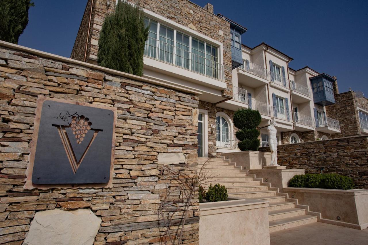 Vinifera Ephesus Hotel 塞尔丘克 外观 照片