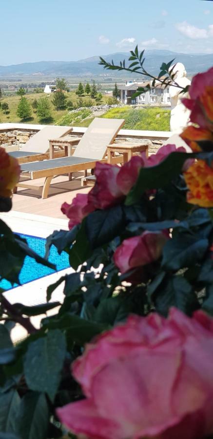 Vinifera Ephesus Hotel 塞尔丘克 外观 照片